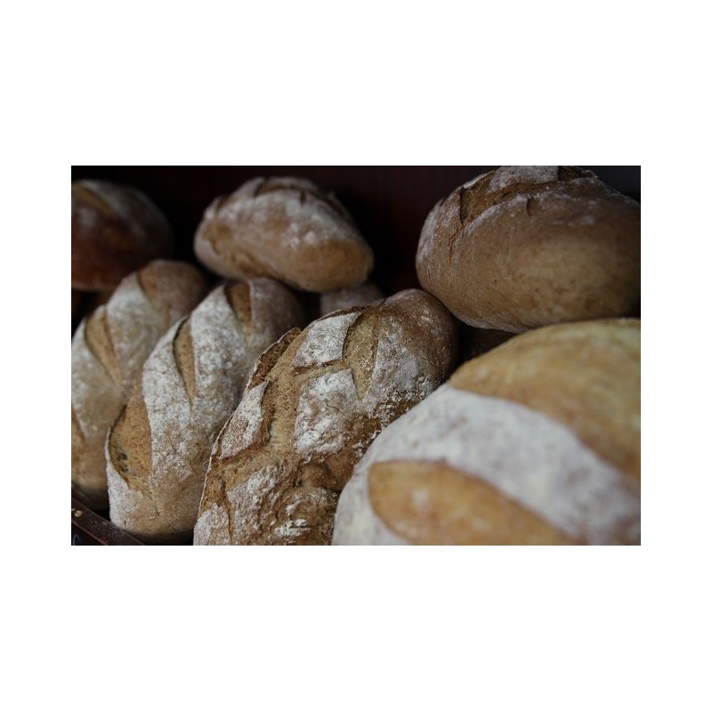 Pain de campagne rond