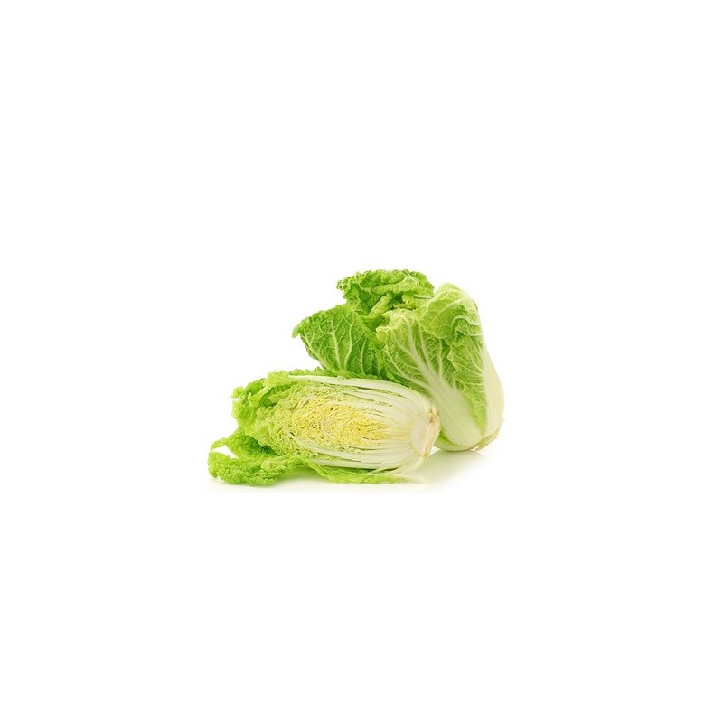 Chinese cabbage