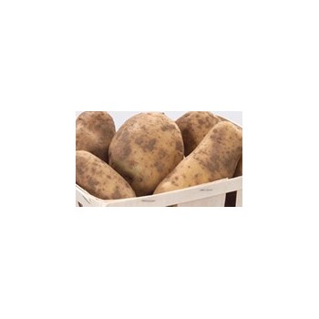 Potatoes