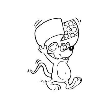 Assortiment de fromage