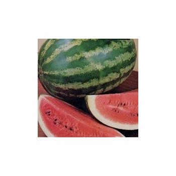 watermelon kg